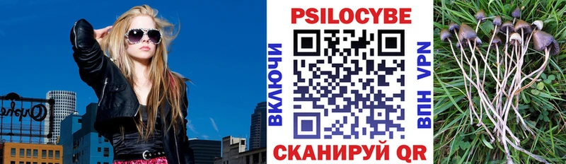 дарнет шоп Чишмы Псилоцибиновые грибы Psilocybe